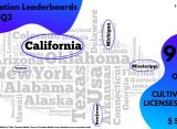 Cannacurio #83: Cultivation 2023 Q3 Leaderboard