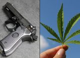 Federal Appeals Court Deems Gun Ban For Marijuana Consumers Unconstitutional, Dismissing Conviction