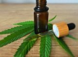 Federal Health Agency Moves To Allow CBD Coverage Under Medicare, As Promoted In Video Trump Posted