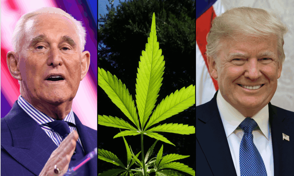 GOP Lawmakers 'Forced' Trump Into Signing Hemp Ban, Longtime Ally Roger Stone Says