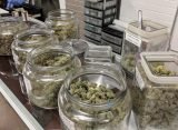 Massachusetts Senators Approve Bill To Double Marijuana Possession Limit For Adults And Restructure Regulatory Commission