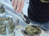 Most Rhode Island Marijuana Social Equity License Applicants Have Been Disqualified
