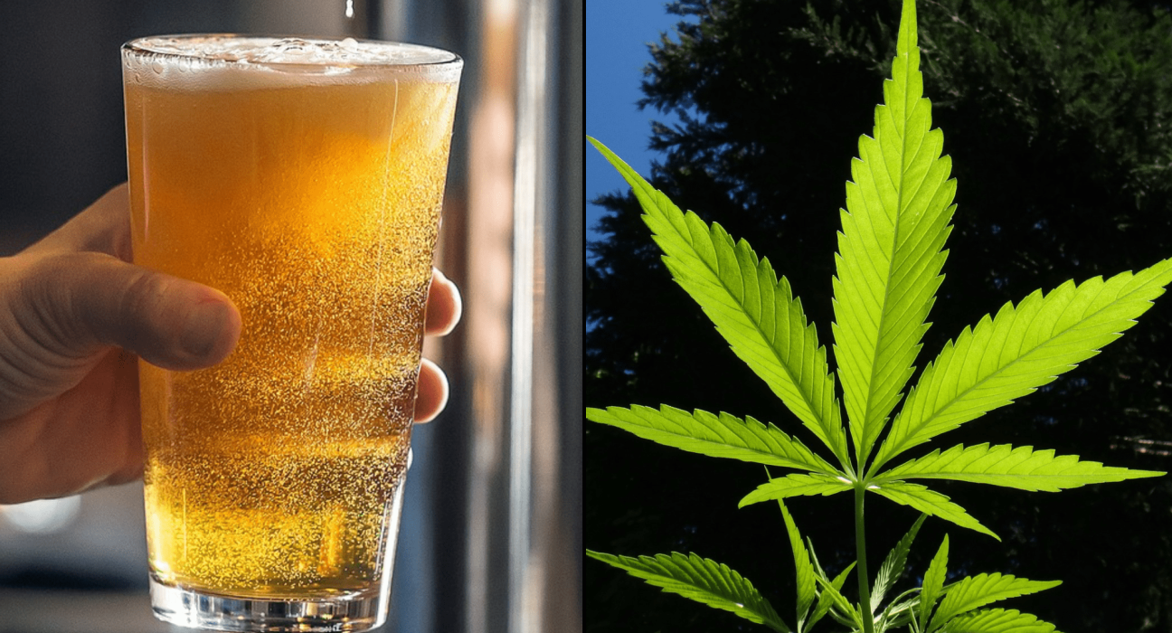 People Drink 'Significantly Less Alcohol' After Smoking Marijuana, Federally Funded Study Shows