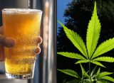 People Drink 'Significantly Less Alcohol' After Smoking Marijuana, Federally Funded Study Shows