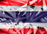 thailand cannabis