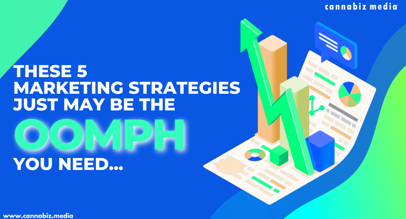 These 5 Marketing Strategies Just May Be The Oomph You Need!