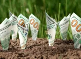 Image of $100 bills growing out of soil like plants