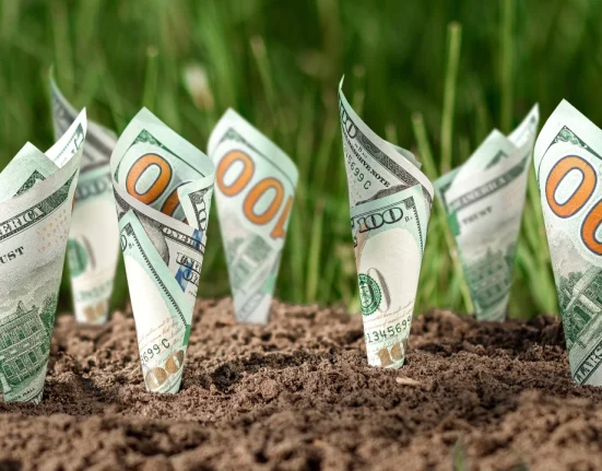 Image of $100 bills growing out of soil like plants