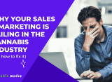 Why Your Sales & Marketing Is Failing in the Cannabis Industry (And How to Fix It)