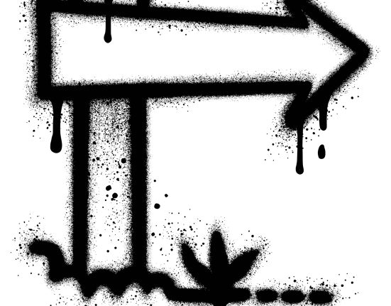 canna provisions v. bondi