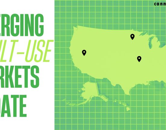 Emerging Adult-Use Markets Update: September 2023