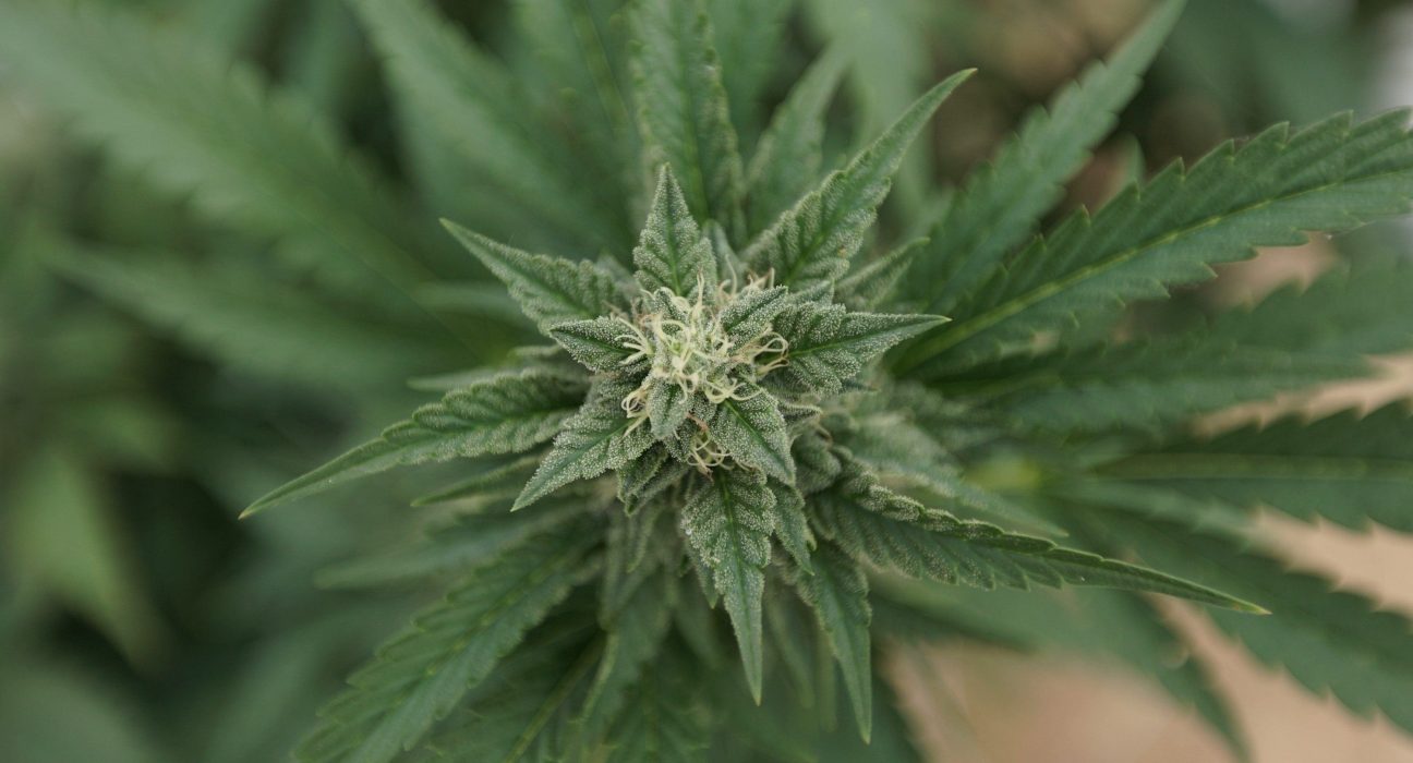Ohio Governor Signs Bill To Recriminalize Some Marijuana Activity, Vetoing Provision To Allow THC Drinks For A Year