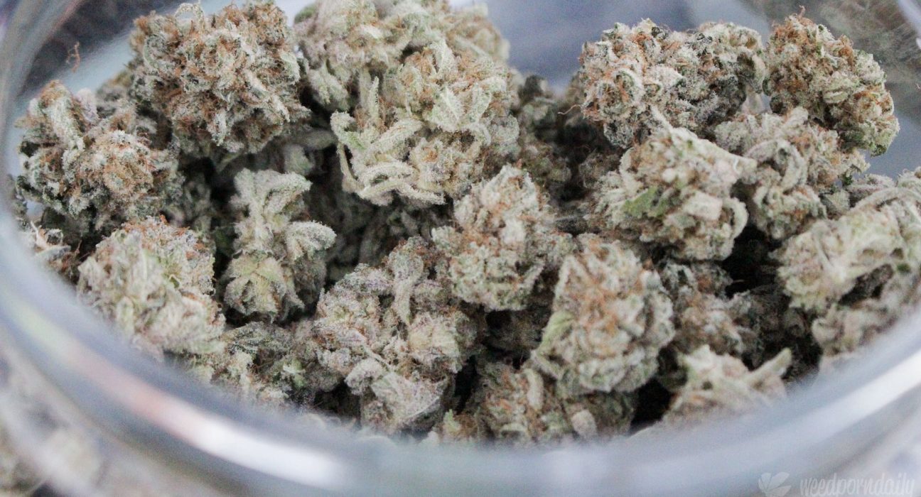 Tennessee Officials Reach Agreement With Hemp Industry To Temporarily Allow THCA Sales