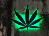 The Morning the Drug War Kissed Its Own Reflection
