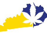 Legal Weed Finally Arrived in Kentucky. It Didn’t Last a Week