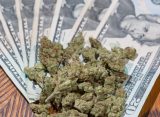 Massachusetts Hits $10 Billion Marijuana Sales Milestone, With Top Official Saying Consumption Lounges Will Bolster Industry In 2026