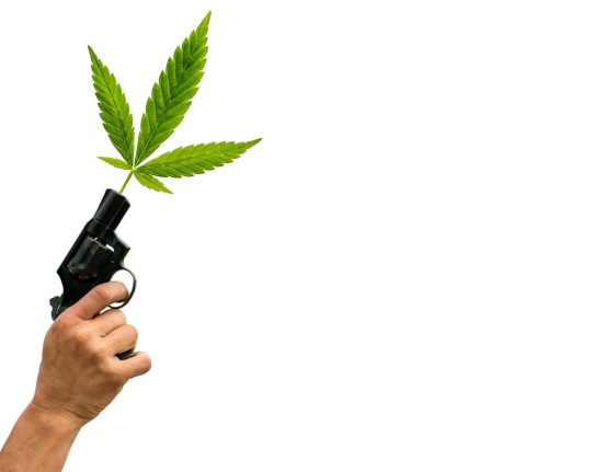 One Joint, No Gun? The ATF Is Rethinking That Rule