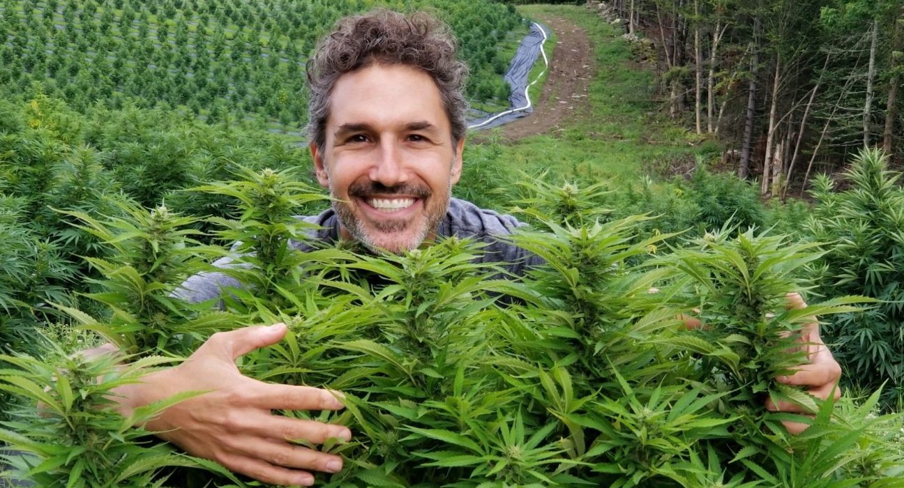 'Survivor' Didn’t Break Them. Real Life Did. Then They Found Weed.