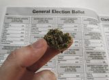 Where is Legalization on the Ballot This Year?