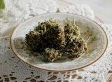 Cannabis Culture Can’t Afford to Keep Fighting Itself