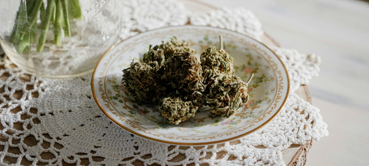 Cannabis Culture Can’t Afford to Keep Fighting Itself