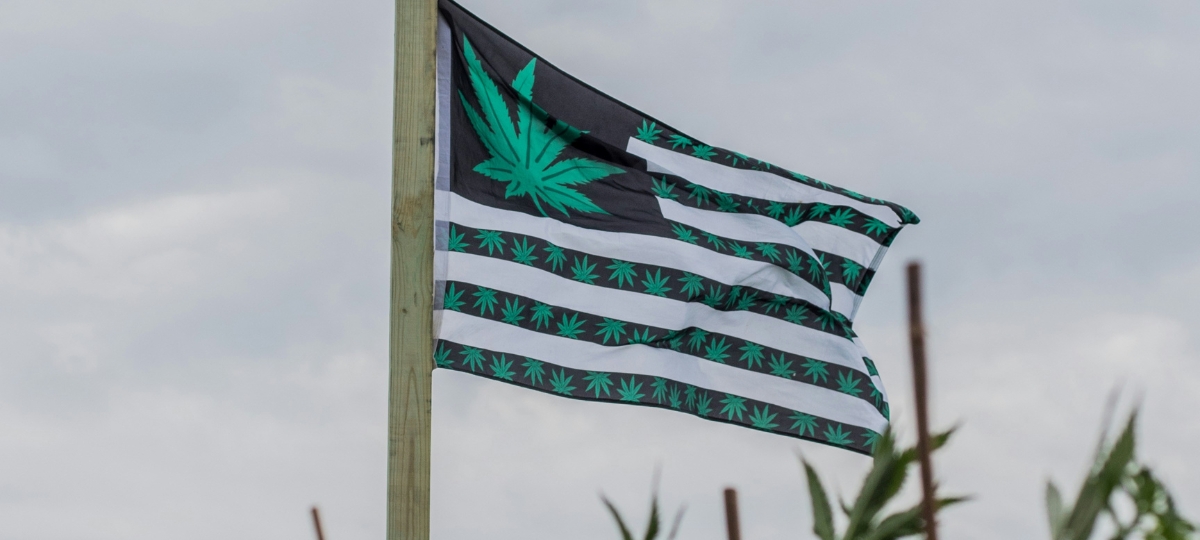 How to Kill the California Cannabis Industry