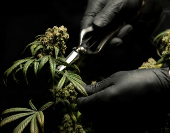 More Equipment Won’t Fix Your Yield Problems