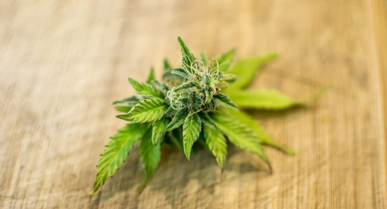 Nebraska Governor Accepts Applications For Medical Cannabis Commission Opening Following Chair's Resignation