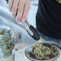 Rhode Island Marijuana Regulators Weigh How To Award New Dispensary Licenses