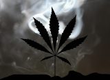 Ten Black Heroes Behind Cannabis Legalization