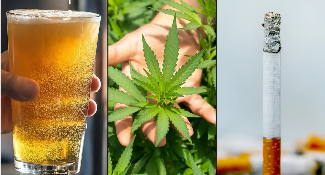 Alcohol And Tobacco Are More Damaging To Users And Society Than Marijuana Is, Government-Funded Study Concludes