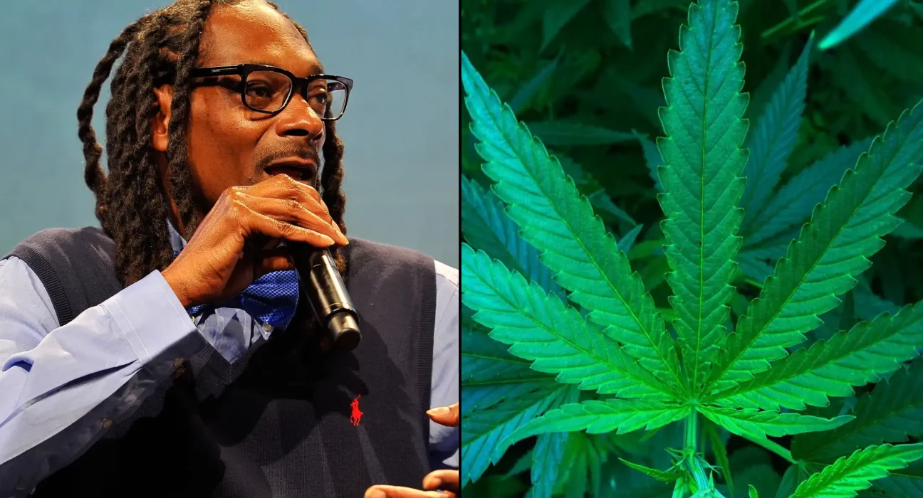 Feds Deny Snoop Dogg Request To Trademark 'Smoke Weed Everyday' Because Marijuana Is Illegal And Song Lyric Is Too Popular