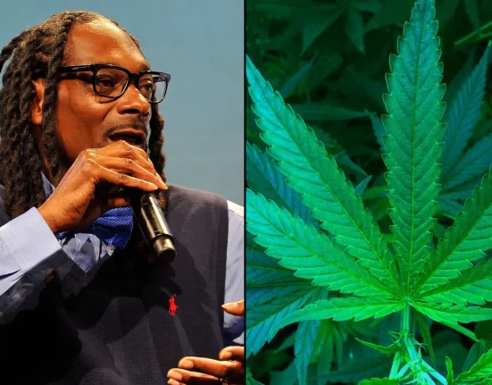 Feds Deny Snoop Dogg Request To Trademark 'Smoke Weed Everyday' Because Marijuana Is Illegal And Song Lyric Is Too Popular