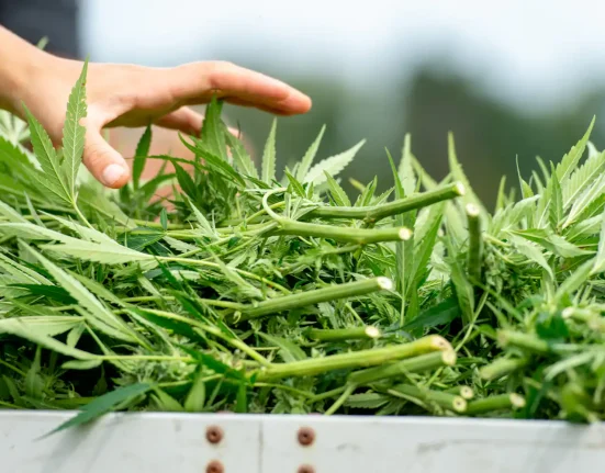 Florida Lawmakers Pass Bill To Provide Discounted Medical Marijuana Cards For Military Veterans