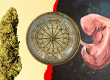 cannabis moral