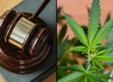 Kansas Officials Are Being Sued Over Raids Against Hemp Businesses