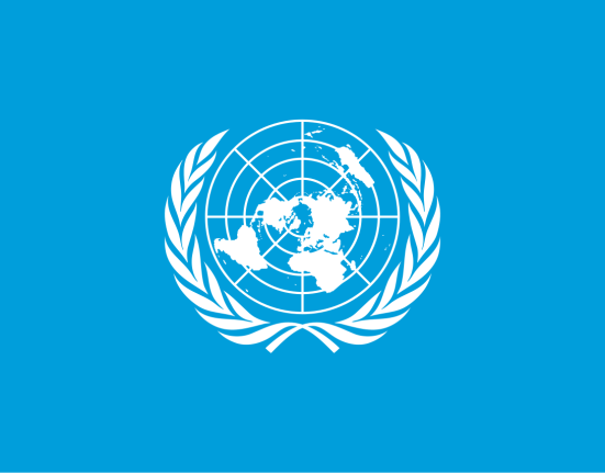 Meet the 19 Experts the UN Chose to Help Shape the Future of Drug Policy