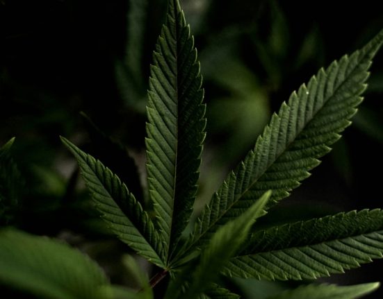 Clean Label Cannabis Is Challenging the Industry