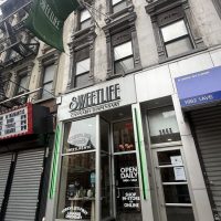 Inside Sweetlife NYC’s Elevated Cannabis Experience