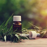 Medicare Coverage for Some Hemp-Derived Products Now Available
