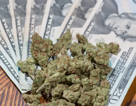 Michigan Sheriff Running For Governor Pledges To Repeal Marijuana Tax Increase