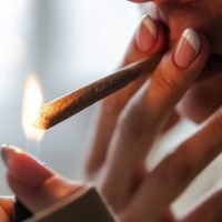Report: Pre-Rolls Become Largest Cannabis Industry Product Category