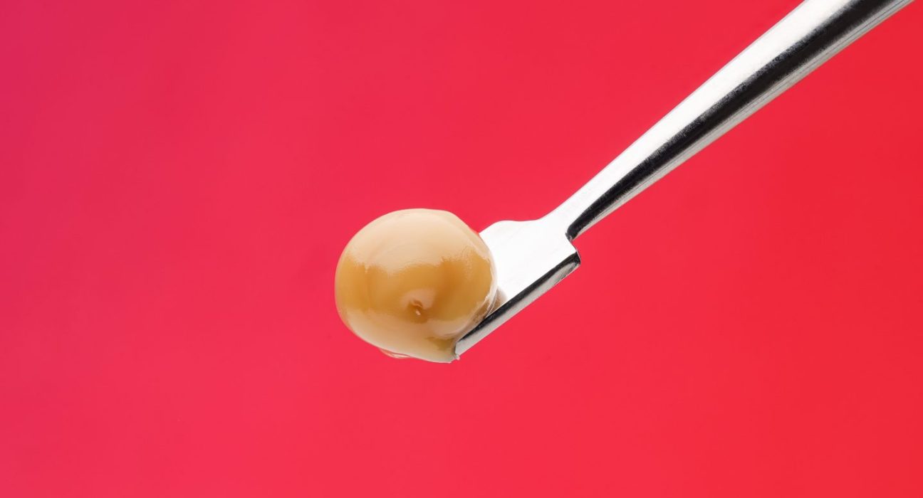 Rosin, Raids and Risk: Spain’s New Cannabis Frontier