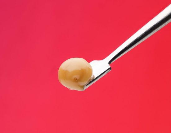 Rosin, Raids and Risk: Spain’s New Cannabis Frontier