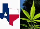 Texas Judge Pauses New Rules Banning Hemp Products Like Smokable THCA Flower Amid Legal Challenge From Industry