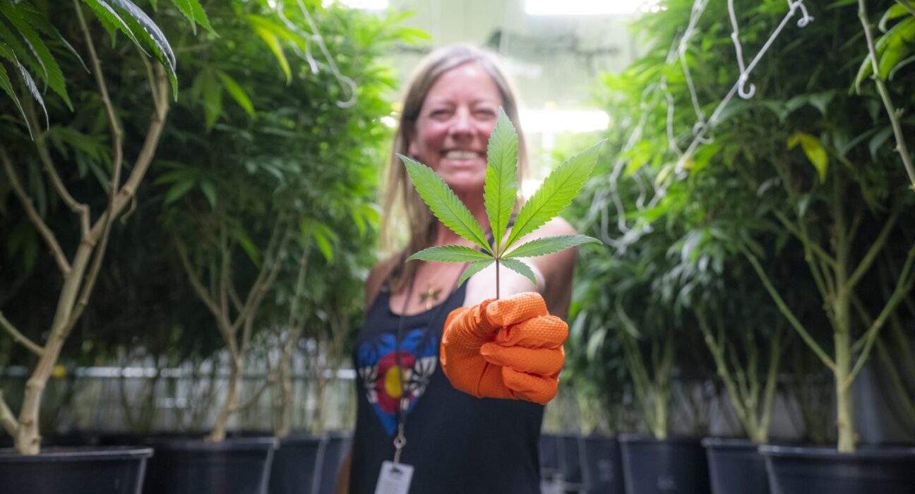 The Highest Mayor in Cannabis
