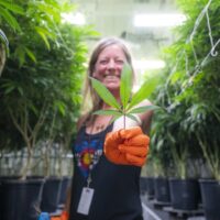 The Highest Mayor in Cannabis
