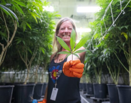 The Highest Mayor in Cannabis