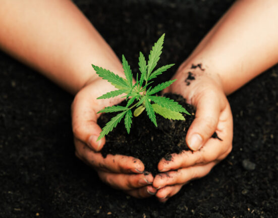 What's threatening the cannabis market?
