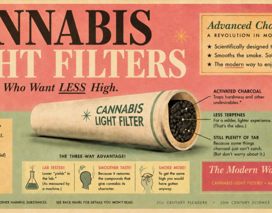 Do Charcoal Joint Filters Actually Work? What The Science Says